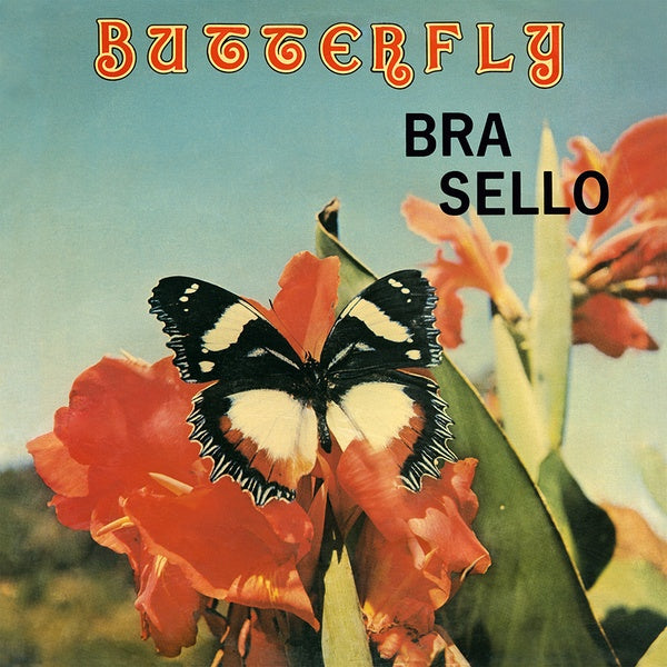 Butterfly |
