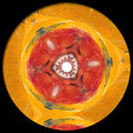 Captivated Heart: Remixed | Mint (M) Generic