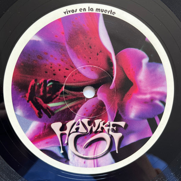 Hawke - Erections From Namaquadisco Volume 2 (VINYL) | Excellent (EX) Excellent (EX)