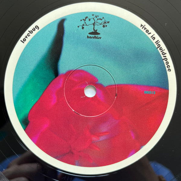Hawke - Erections From Namaquadisco Volume 2 (VINYL) | Excellent (EX) Excellent (EX)