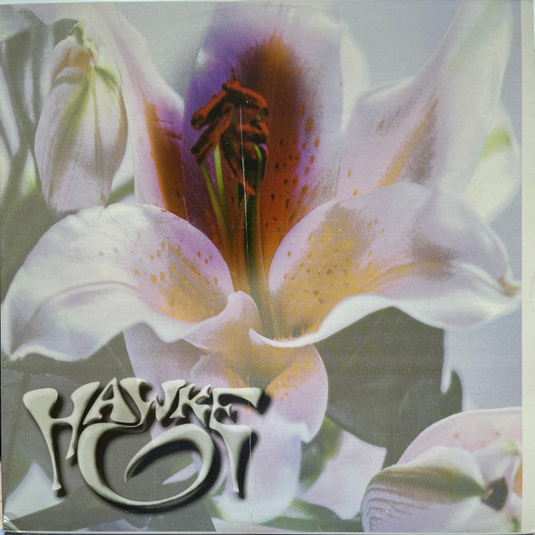 Hawke - Erections From Namaquadisco Volume 2 (VINYL) | Excellent (EX) Excellent (EX)