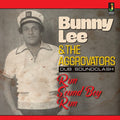 Run Sound Boy Run |