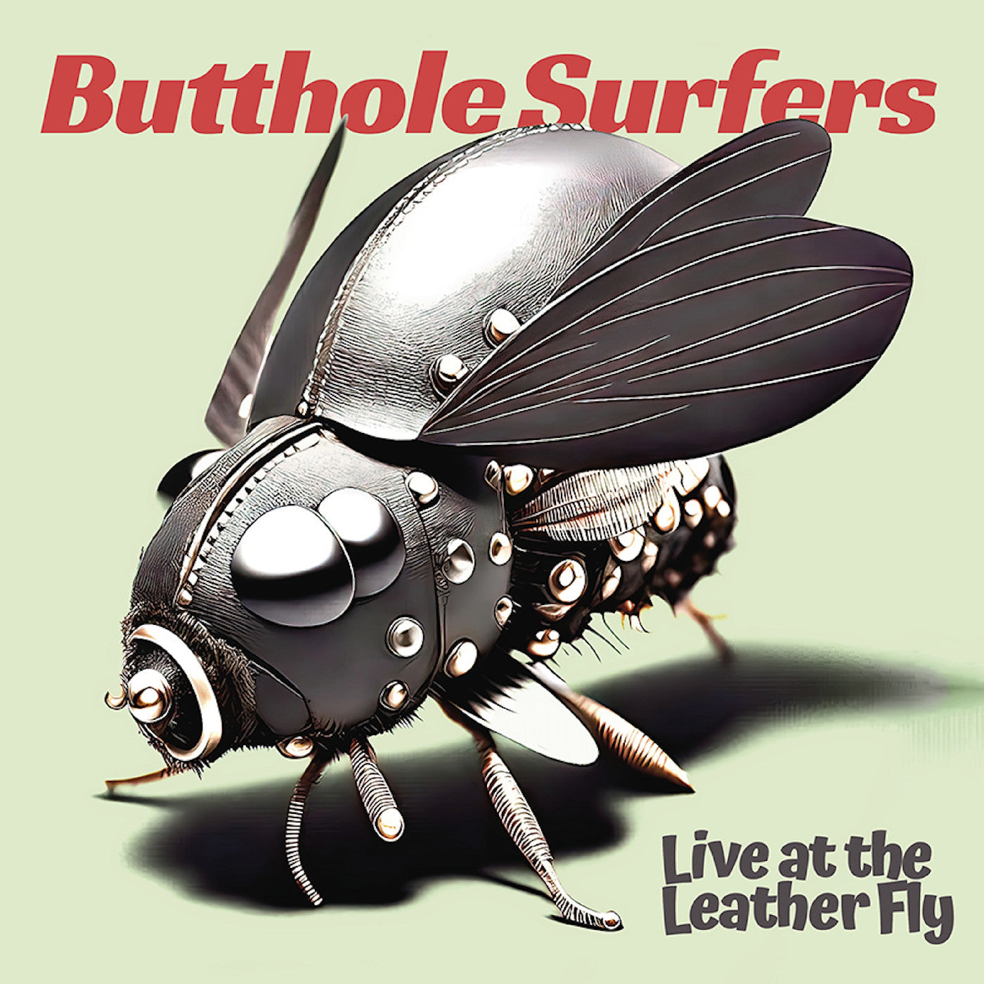 Live At The Leather Fly (CD) | Mint (M) Mint (M)