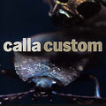 Custom (The Remix Project) |