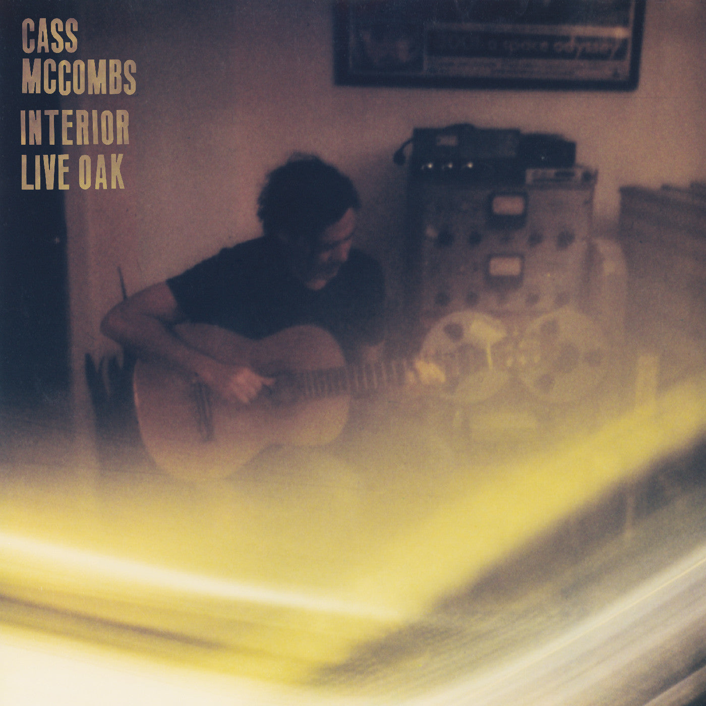 Interior Live Oak (VINYL) | Mint (M) Mint (M)