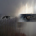 Ecstatic Computation |