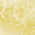 Cursory Asperses |