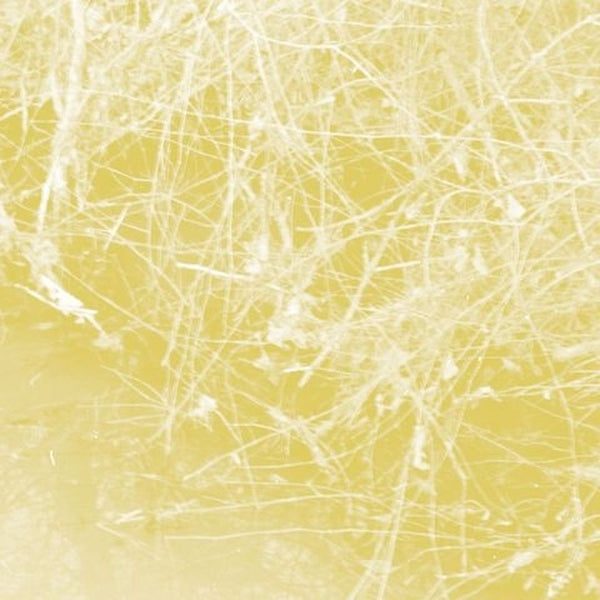 Cursory Asperses |