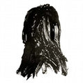 Shroud |