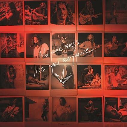 Chris Cornell - No One Sings Like You Anymore (Ltd Picture Disc) | Mint (M) Mint (M)