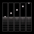 Let It Wander (2LP) | Mint (M) Mint (M)