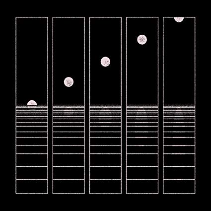 Let It Wander (2LP) | Mint (M) Mint (M)