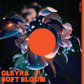 Soft Bloom |