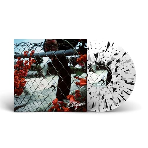 In Lives That Won't Last *PRE-ORDER 7/25/25* (Clear With Silver & Black Splatter Vinyl) | Mint (M) Mint (M)