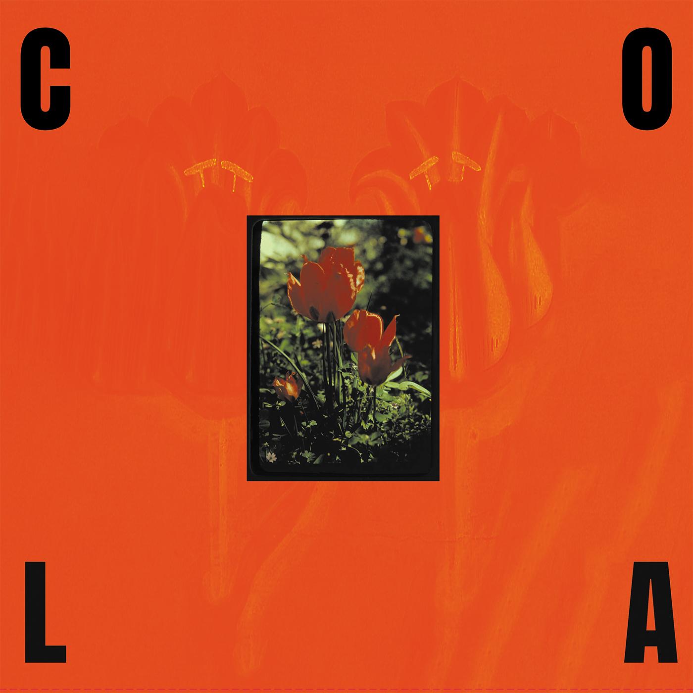 The Gloss (Black In Orange VINYL) | Mint (M) Mint (M)