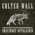IMAGINARY APPALACHIA (RED VINYL) | Mint (M) Mint (M)