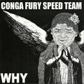 Why / Shitstorm | Near Mint (NM) Near Mint (NM)