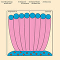 Projections of a Coral City |