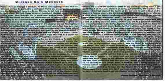 Jimmy Buffett - Live At Fenway Park (3xCD) | Very Good Plus (VG+) Excellent (EX)