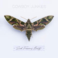Such Ferocious Beauty (Green Translucent Vinyl) | Mint (M) Mint (M)