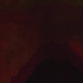 Acanthosaura |