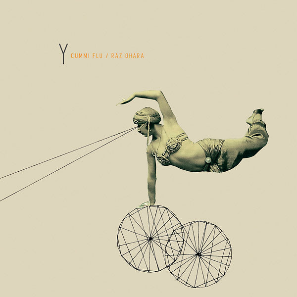 Y |