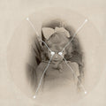 The Light Is Leaving Us All (Picture Disc) |