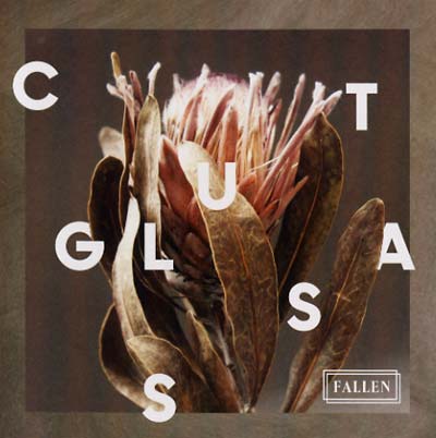 Fallen |