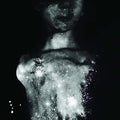 The Visitors |