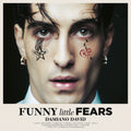 Funny Little Fears (Vinyl) |