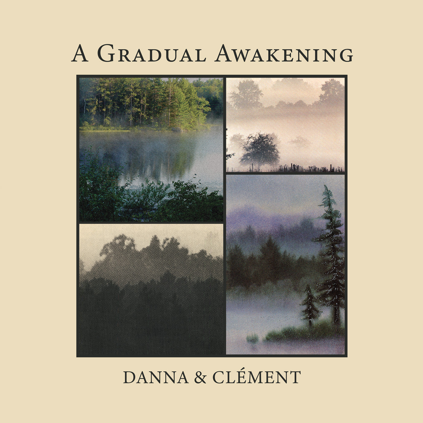 A Gradual Awakening (VINYL) | Mint (M) Mint (M)