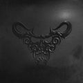 Danzig 5: Blackacidevil (Deluxe Edition, Limited Edition, Reissue CD) |