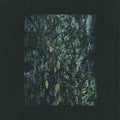 The Walker/Kilter - Remixes |