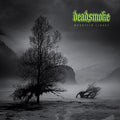 Mountain Legacy (Color Vinyl) |