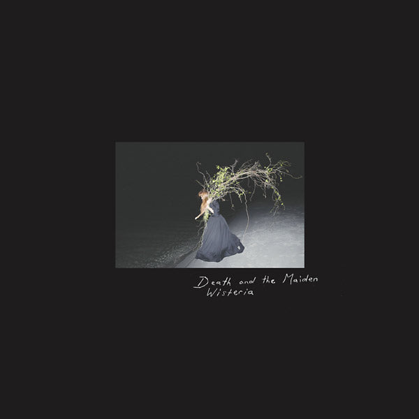 Wisteria (CD) | Mint (M) Mint (M)