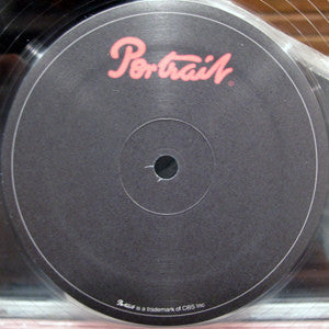 The Safest Place (NYC Dance Remix) | Mint (M) Generic