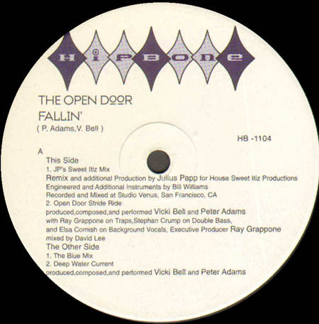 Open Door - Fallin' | Excellent (EX) Near Mint (NM)