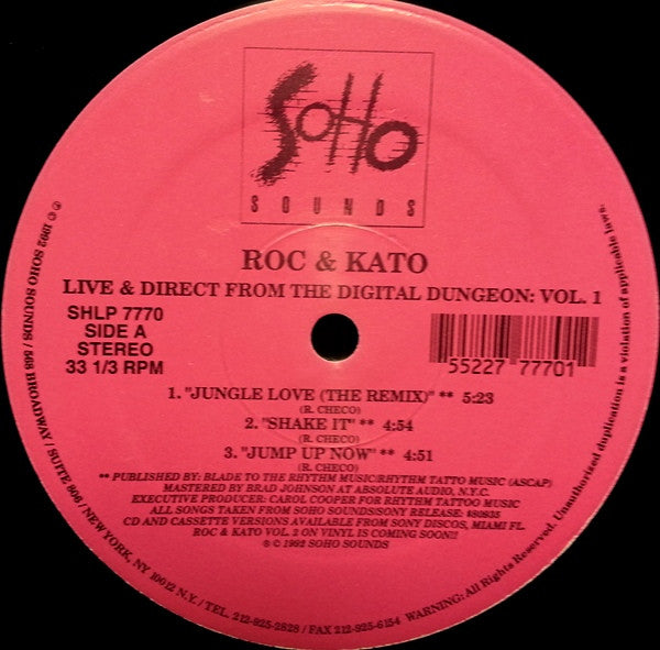 Roc & Kato - Live And Direct From The Digital Dungeon: Vol. 1 | Near Mint (NM) Generic