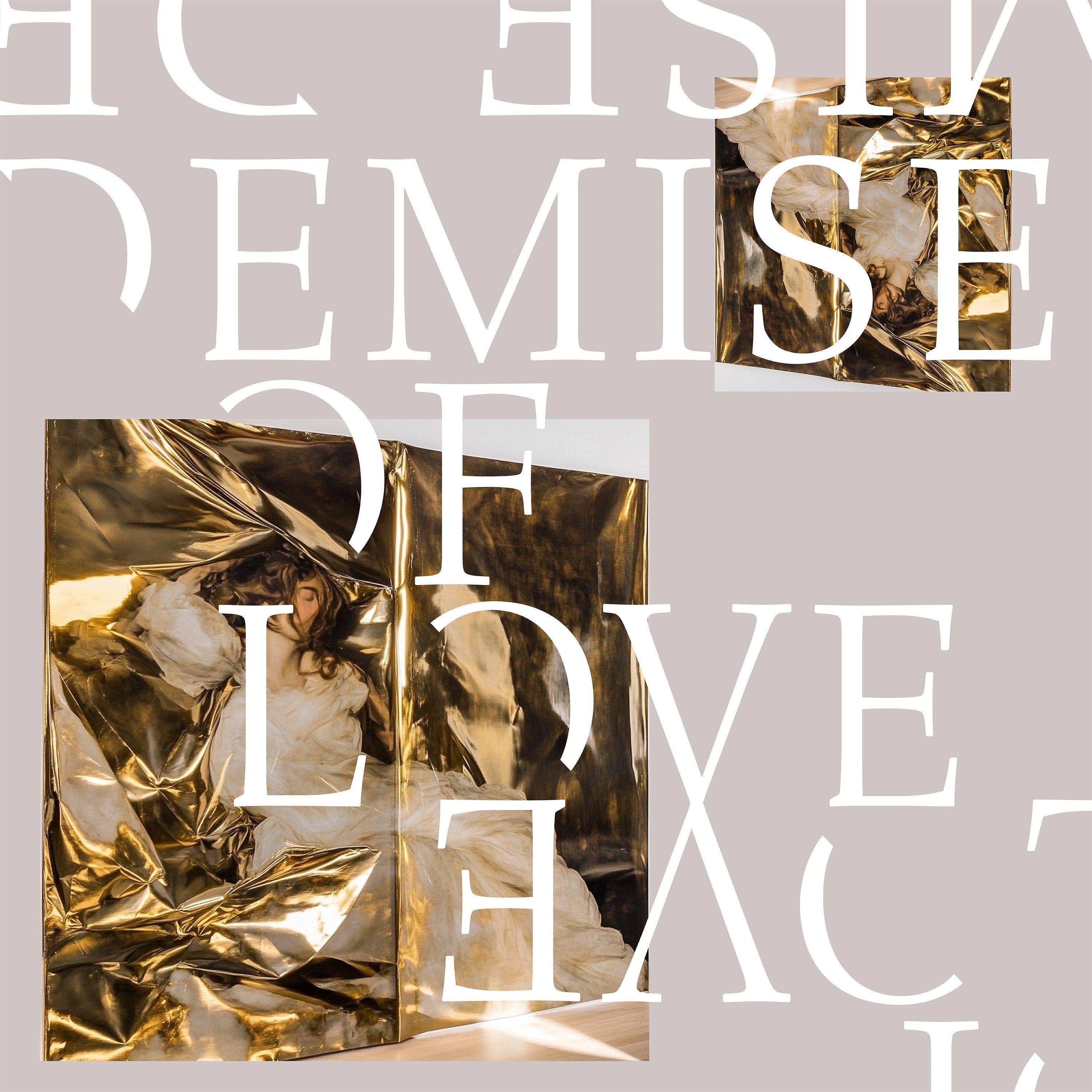 Demise Of Love (10" Vinyl) | Mint (M) Mint (M)