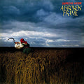 A Broken Frame (Import) | Mint (M) Mint (M)