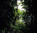 Tempatempat |