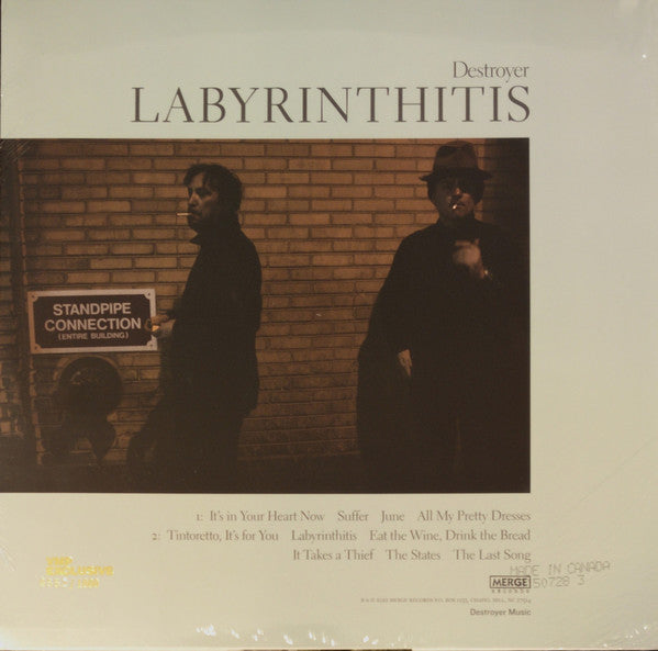 Labyrinthitis | Mint (M) Mint (M)