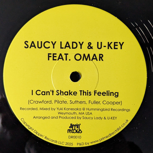 I Can't Shake This Feeling (VINYL) | Mint (M) Mint (M)