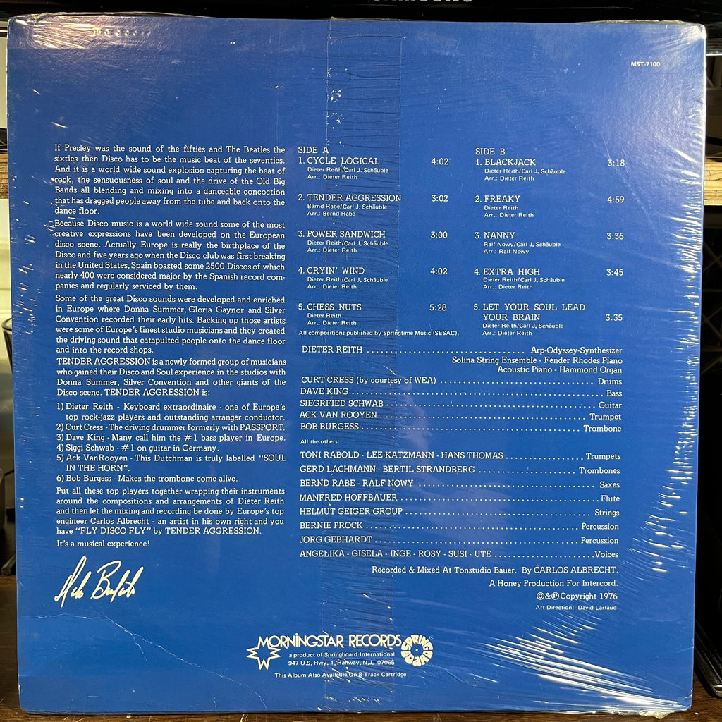 Fly Disco Fly (LP) | Mint (M) Excellent (EX)