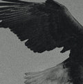 Over The Sand |