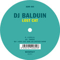 Lost Cat |