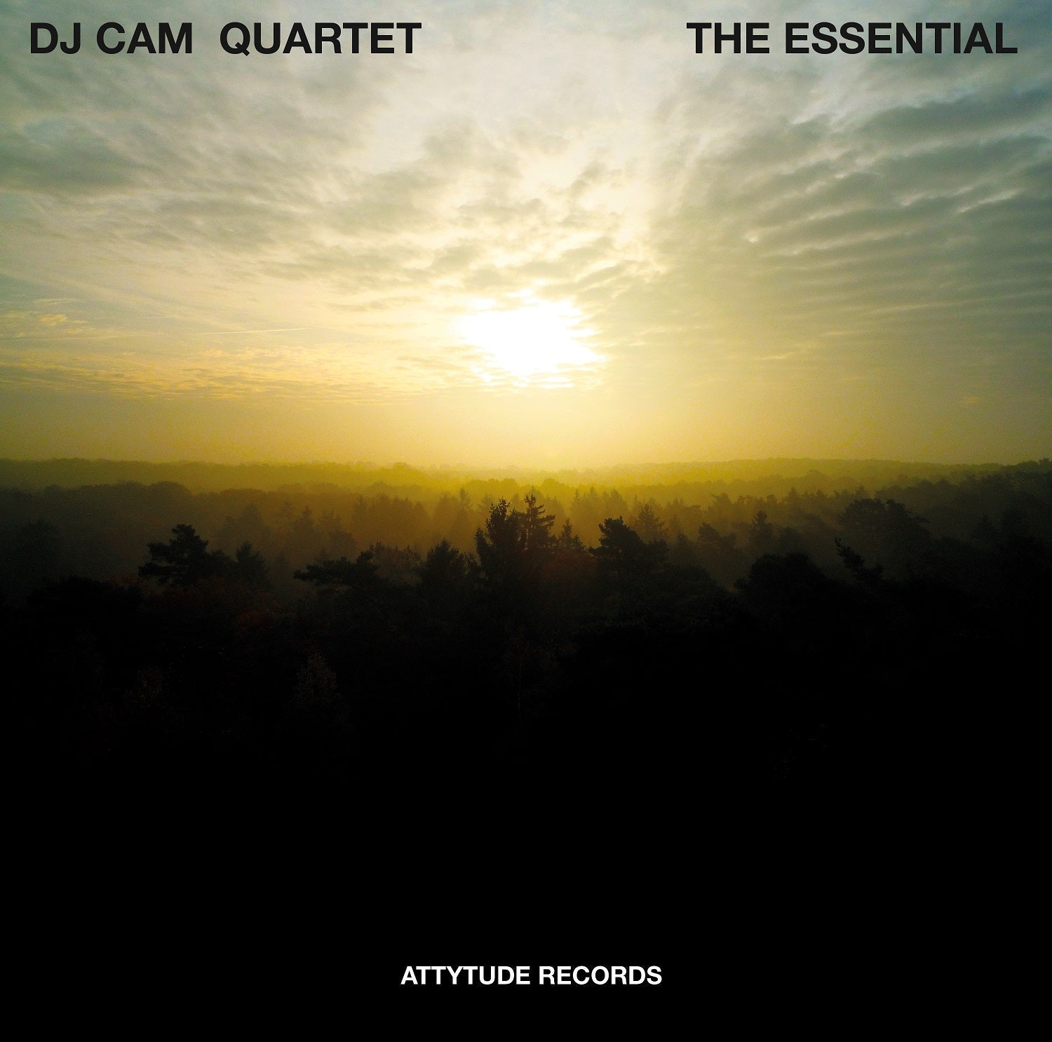 The Essential |