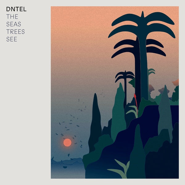 The Seas Trees See |