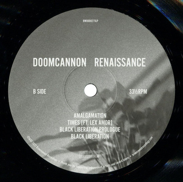 Renaissance (VINYL) | Mint (M) Mint (M)