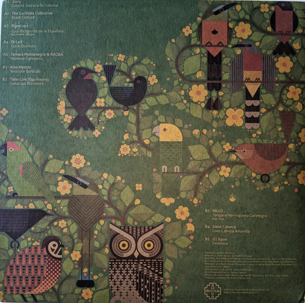 A Guide To The Birdsong Of Mexico, Central America, & The Caribbean | Mint (M) Mint (M)